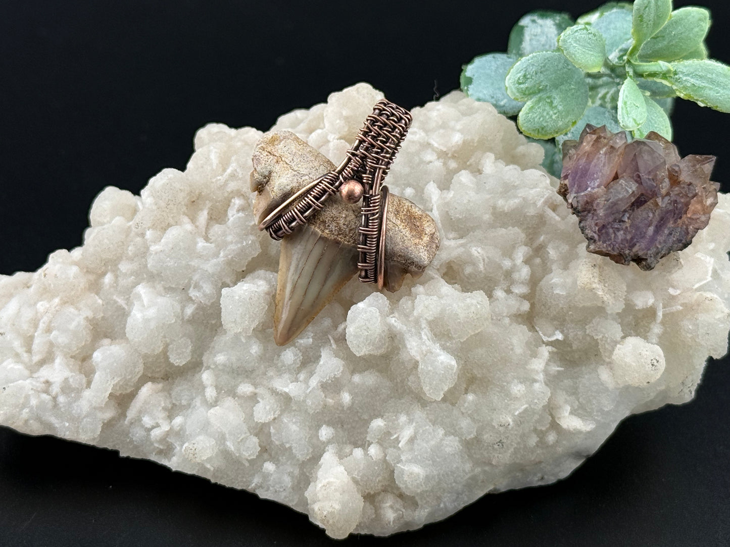 Shark Tooth Pendant